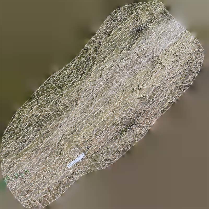 Curved Bark Low-poly 3D model_14