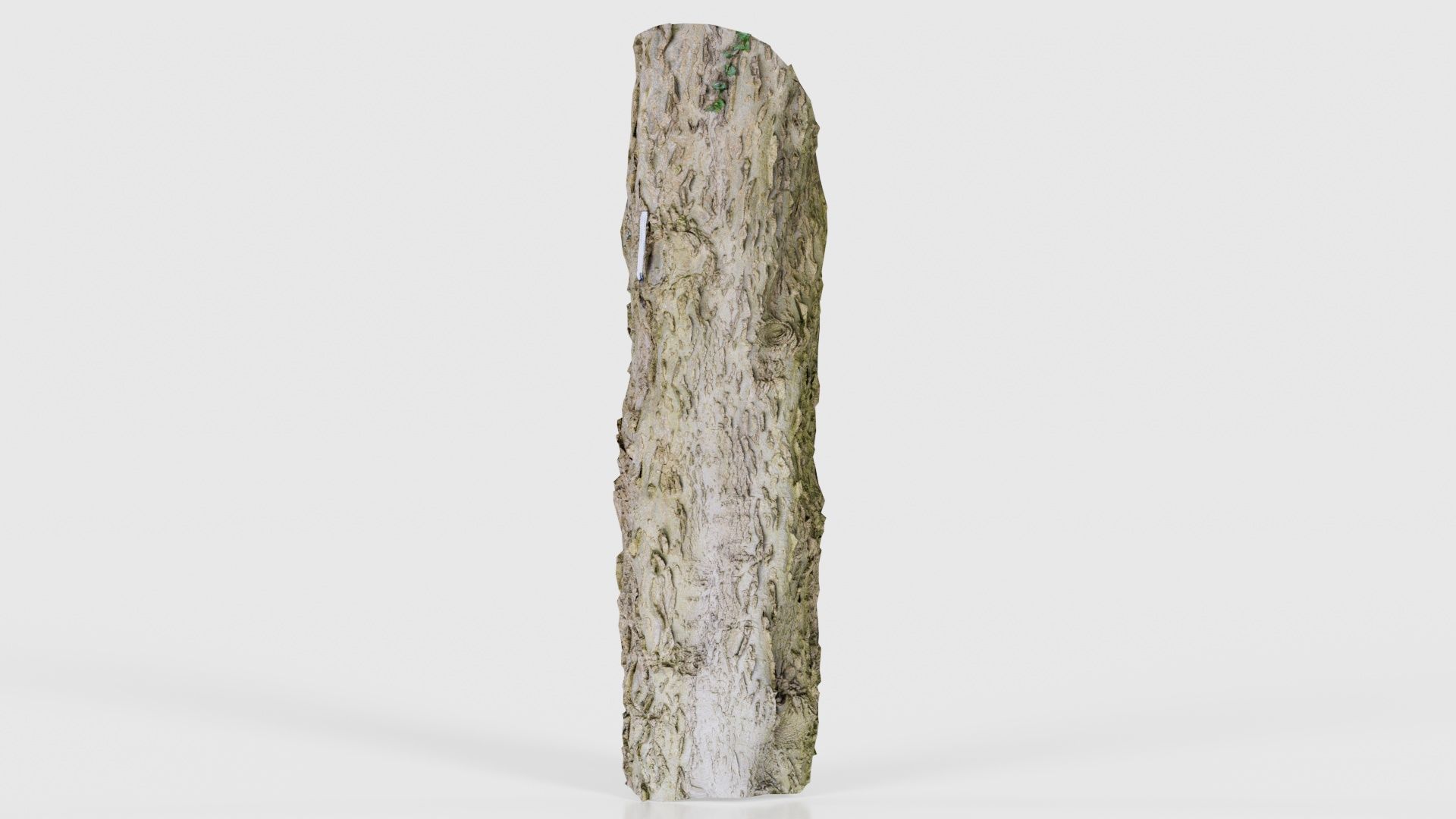 Curved Bark Low-poly 3D model_15