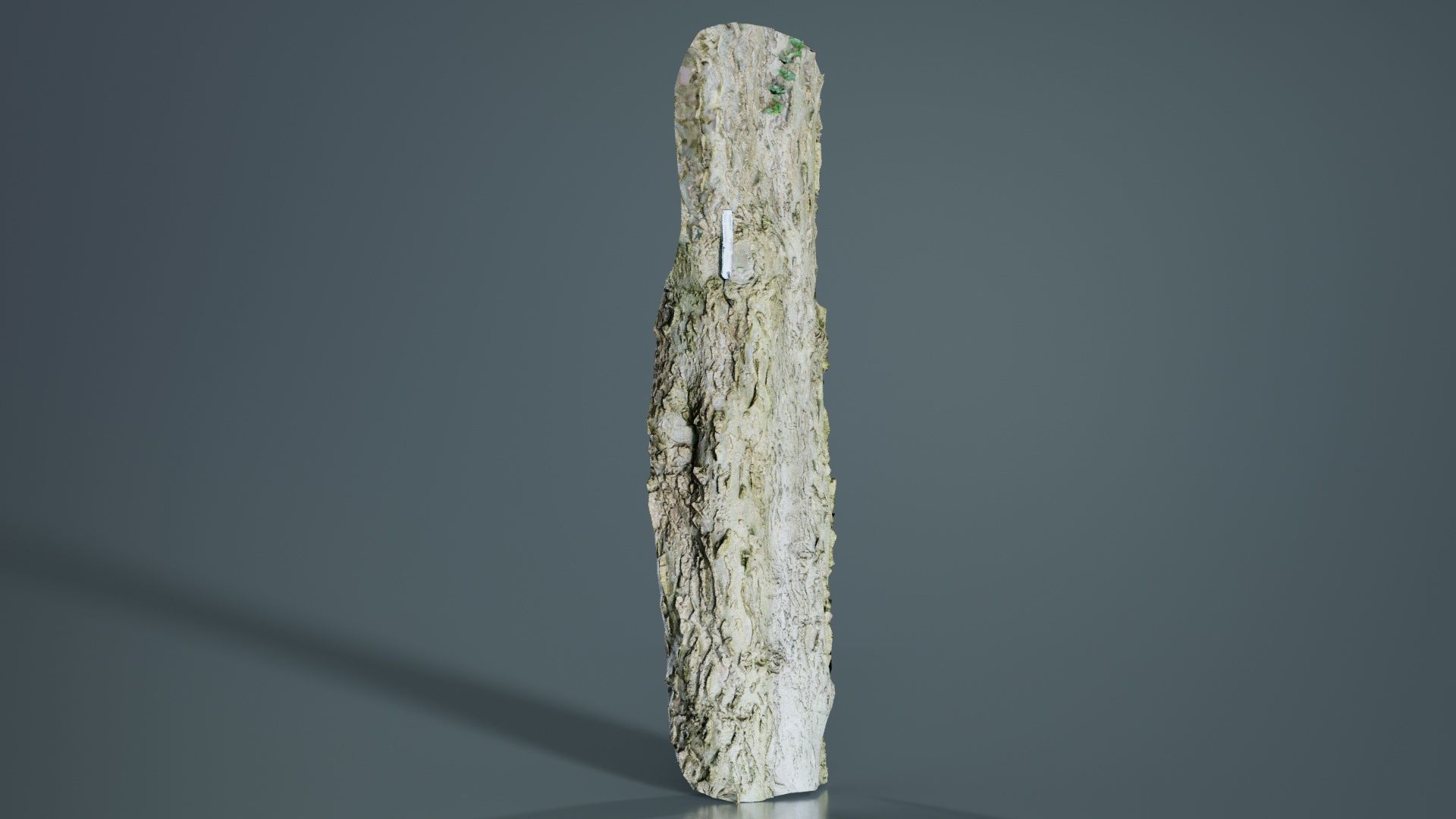 Curved Bark Low-poly 3D model_4