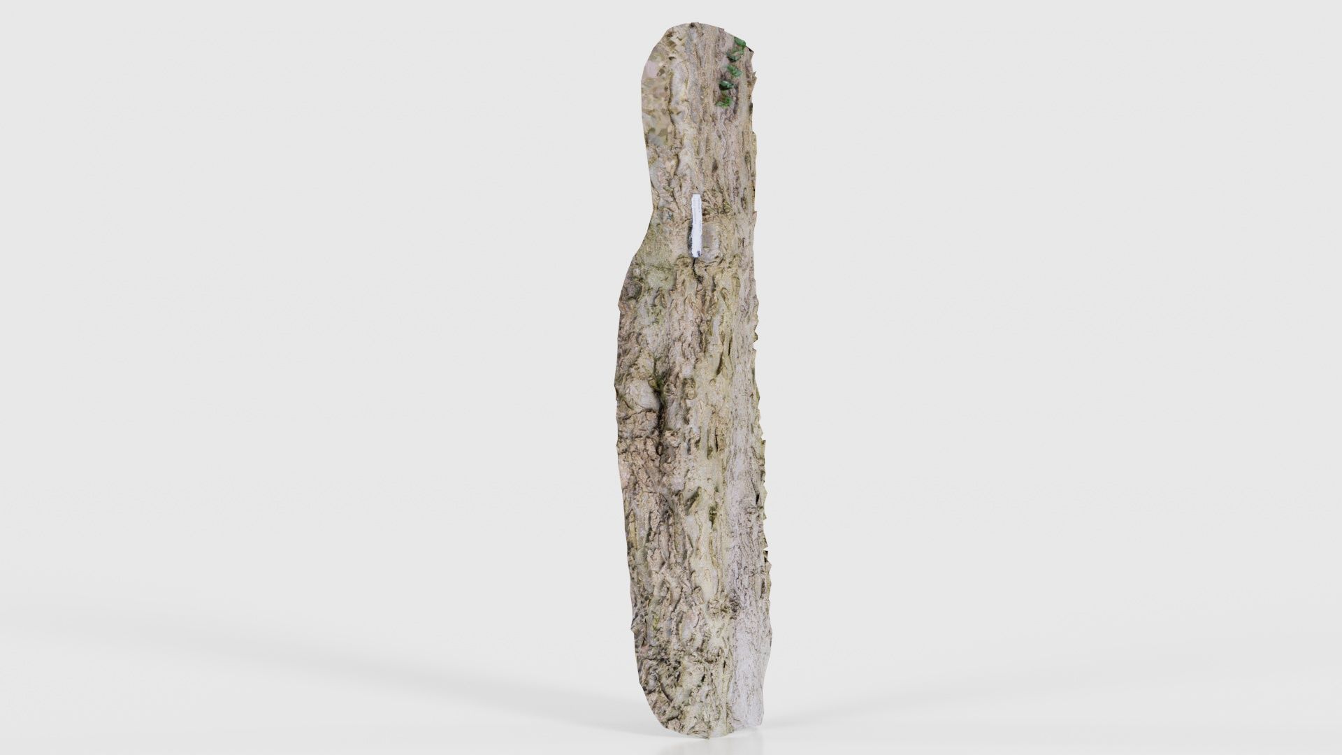 Curved Bark Low-poly 3D model_17