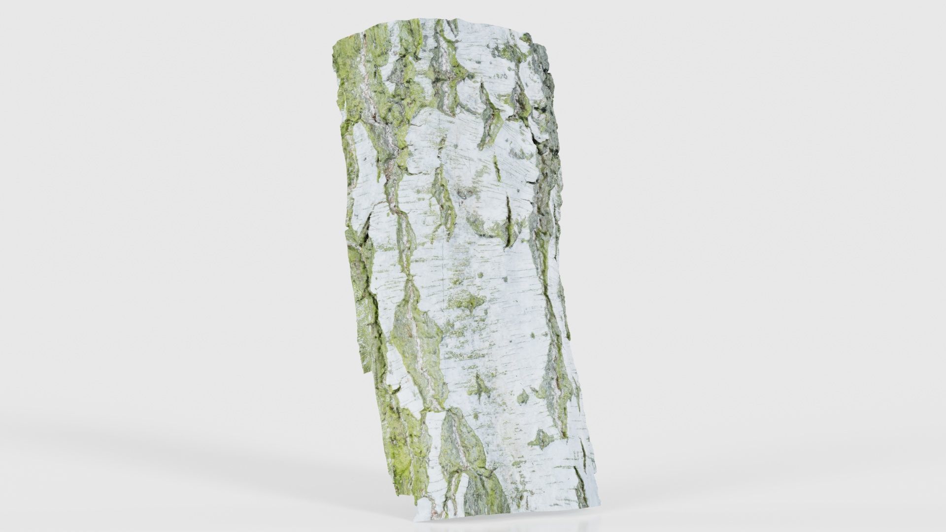 Cut Paper Bark Low-poly 3D model_16