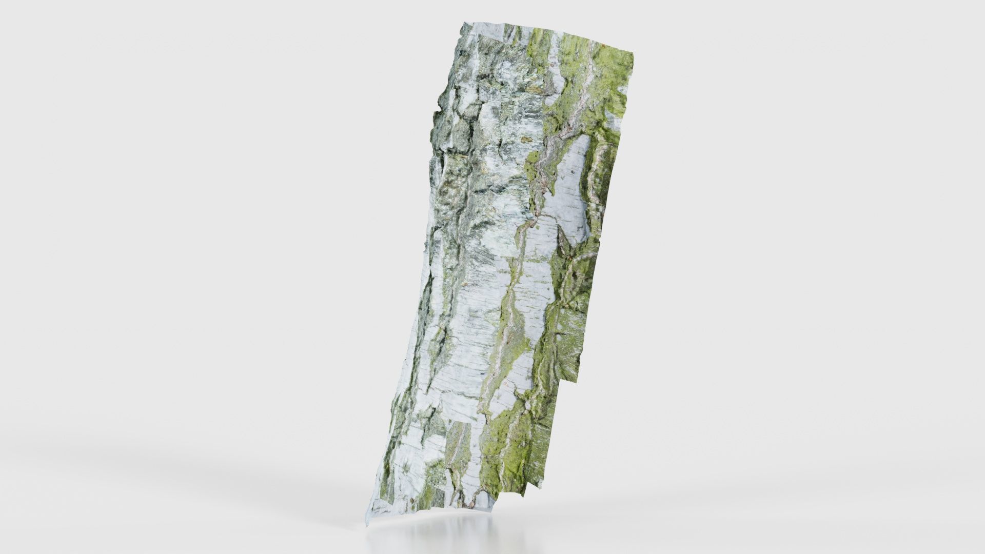 Cut Paper Bark Low-poly 3D model_23