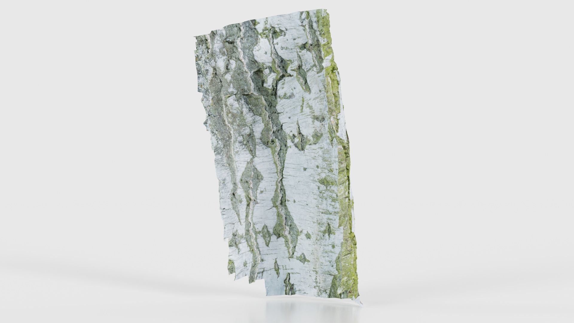 Cut Paper Bark Low-poly 3D model_20