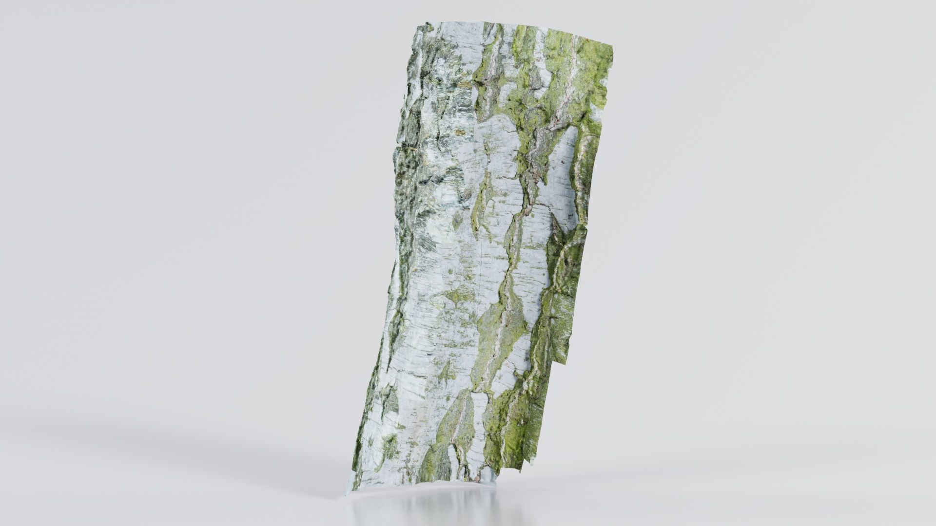 Cut Paper Bark Low-poly 3D model_7