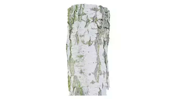 Cut Paper Bark Low-poly 3D model
