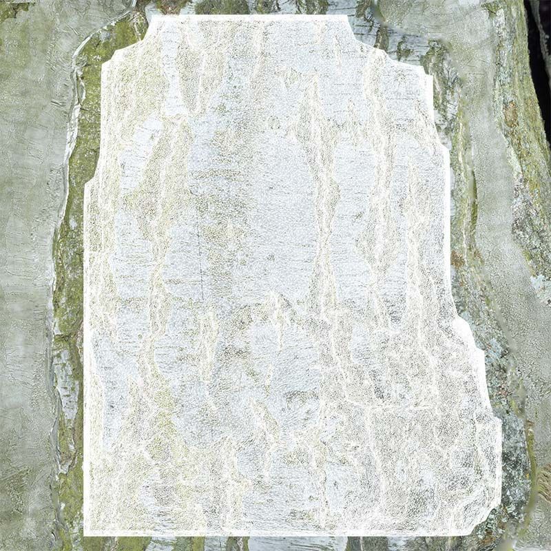 Cut Paper Bark Low-poly 3D model_14