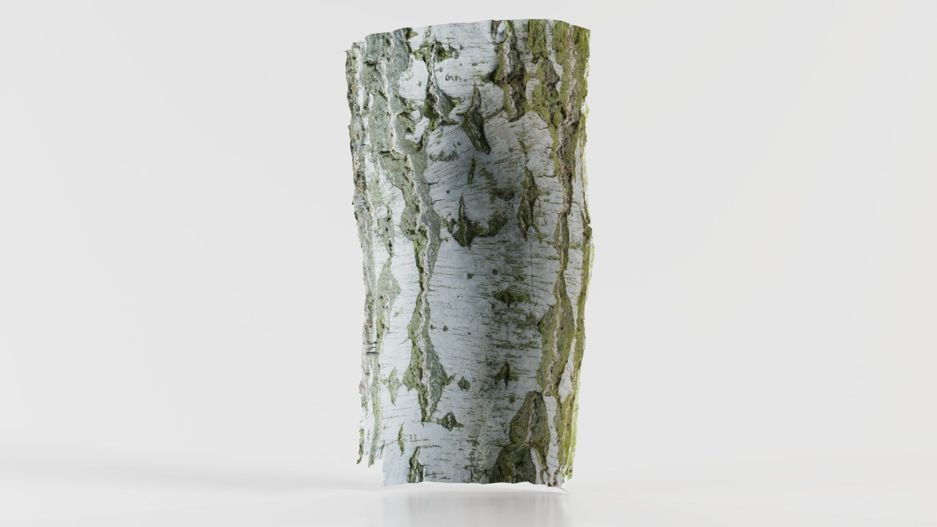 Cut Paper Bark Low-poly 3D model_3