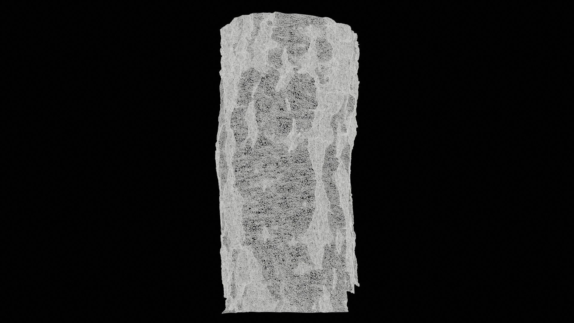 Cut Paper Bark Low-poly 3D model_11