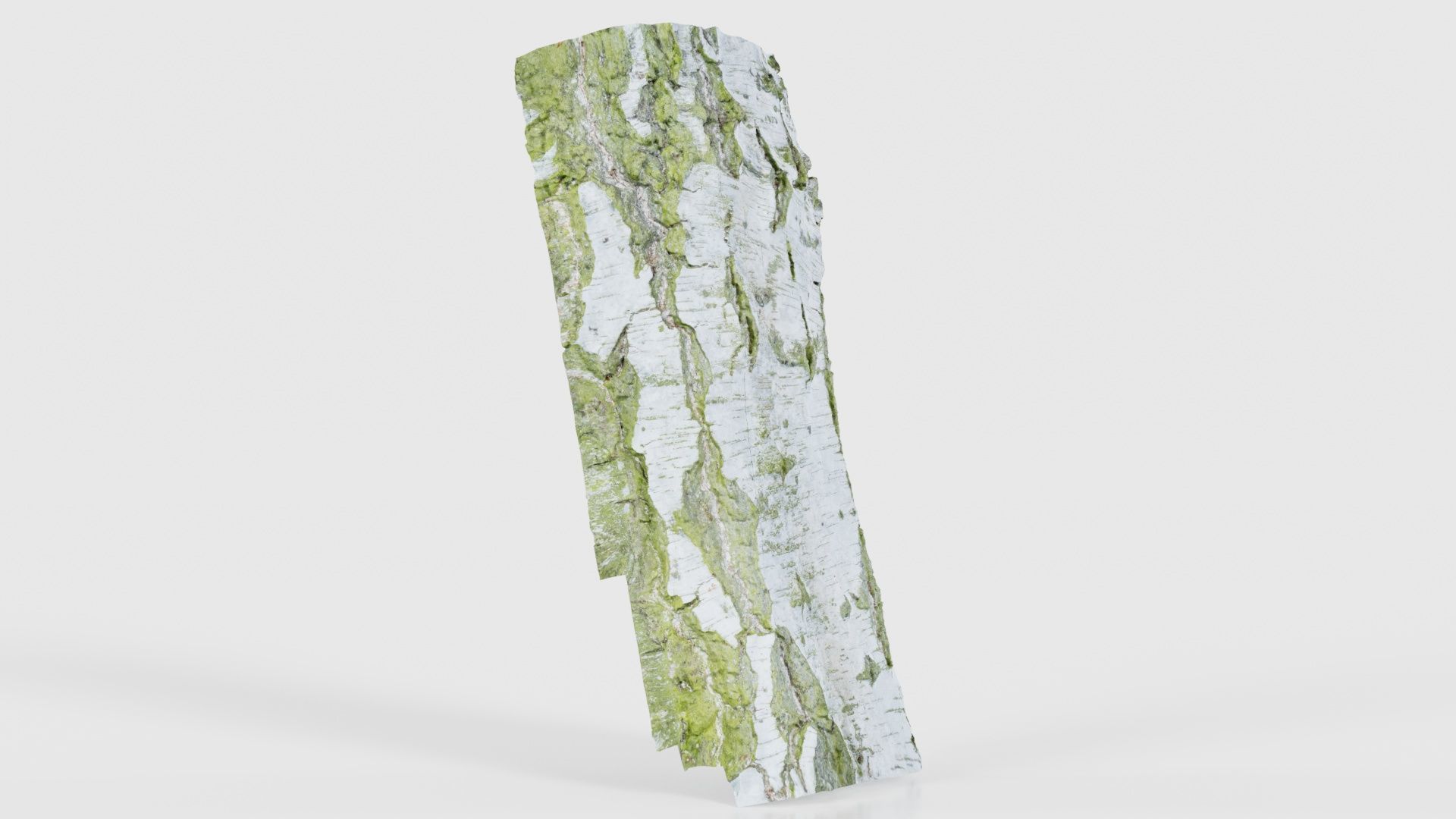 Cut Paper Bark Low-poly 3D model_17