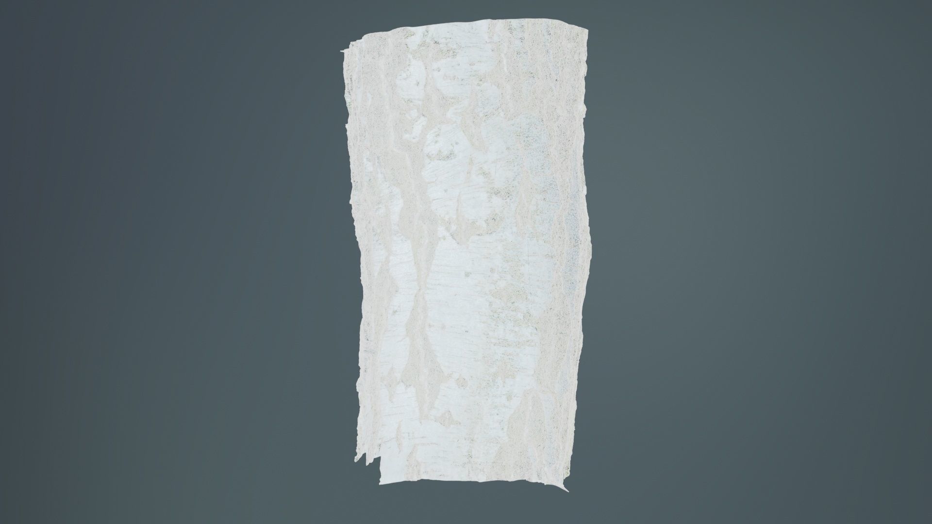 Cut Paper Bark Low-poly 3D model_10