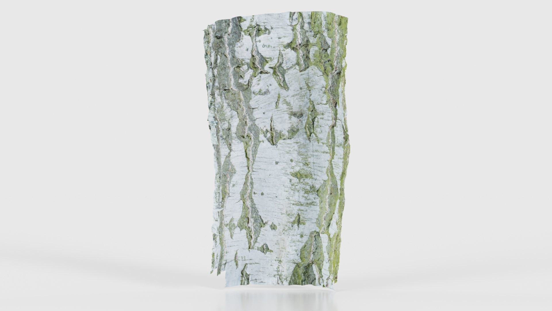 Cut Paper Bark Low-poly 3D model_21