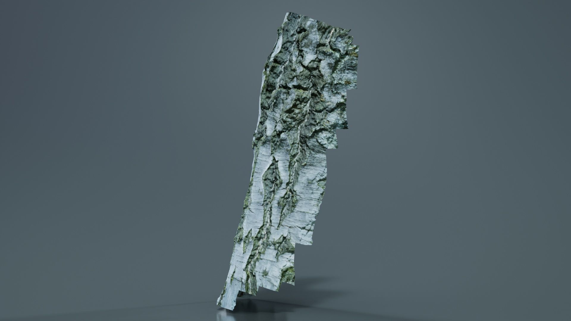 Cut Paper Bark Low-poly 3D model_5