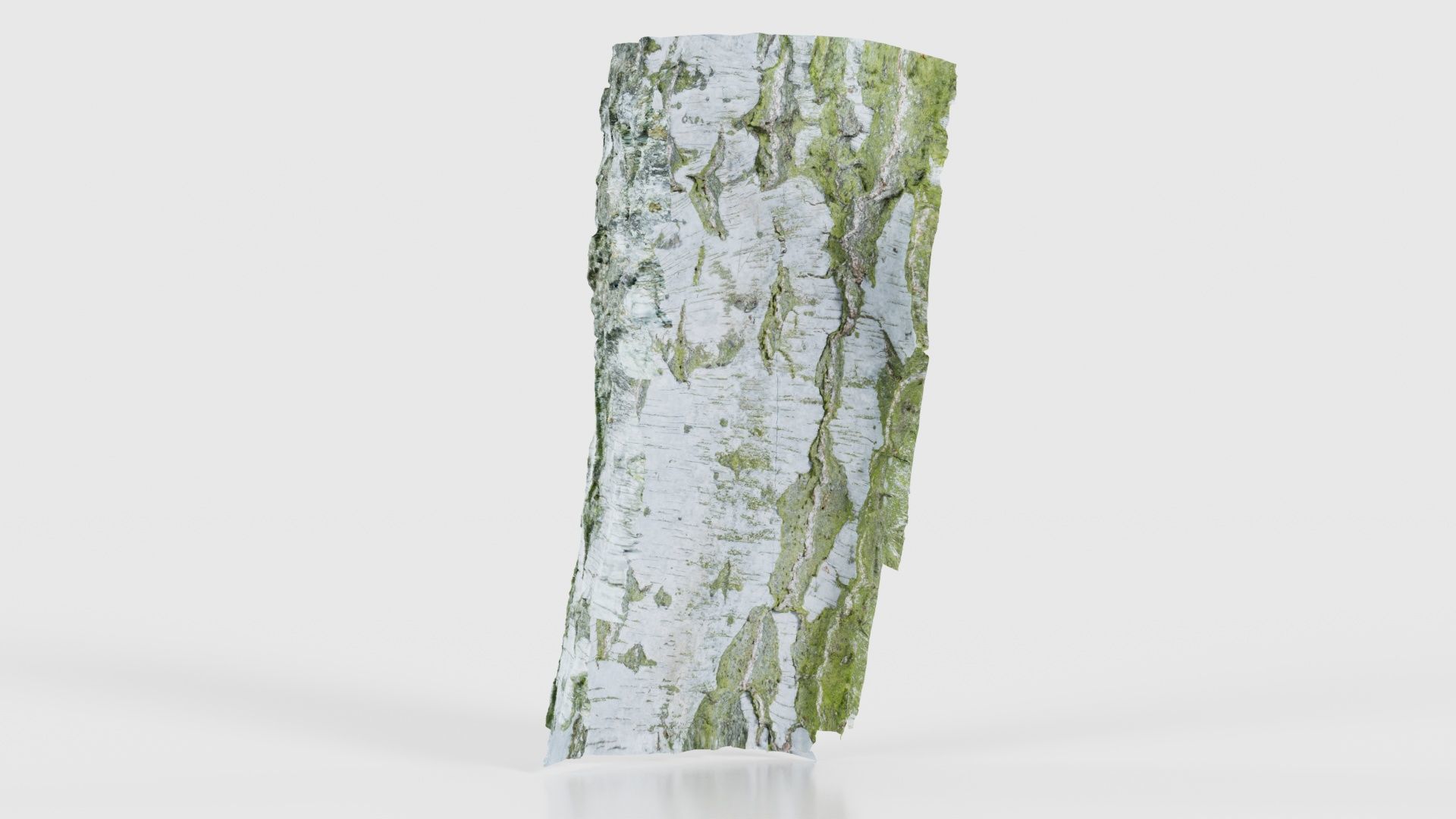 Cut Paper Bark Low-poly 3D model_22
