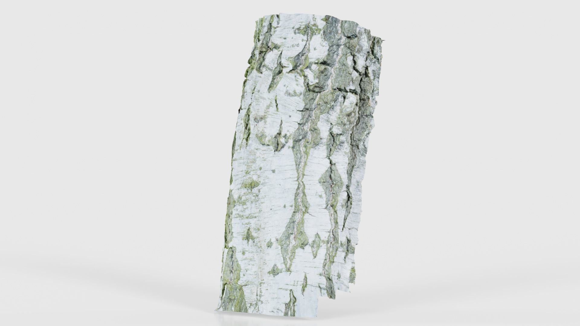 Cut Paper Bark Low-poly 3D model_26