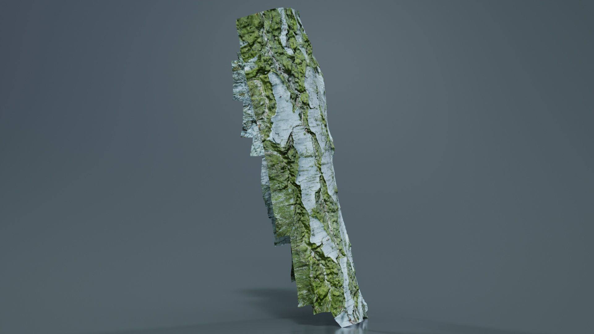 Cut Paper Bark Low-poly 3D model_6