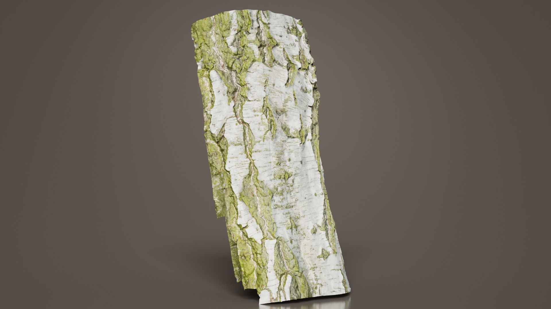 Cut Paper Bark Low-poly 3D model_8