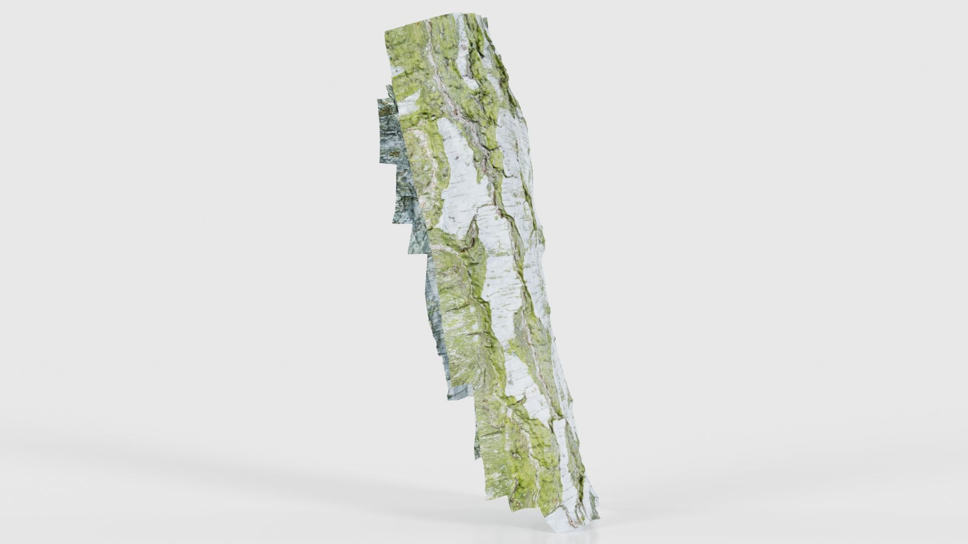 Cut Paper Bark Low-poly 3D model_18