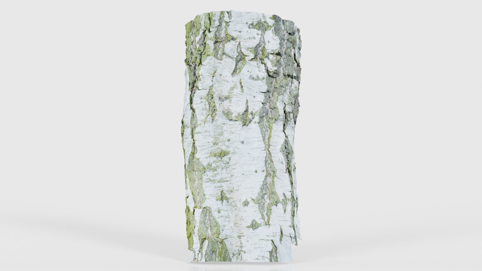 Cut Paper Bark Low-poly 3D model_15