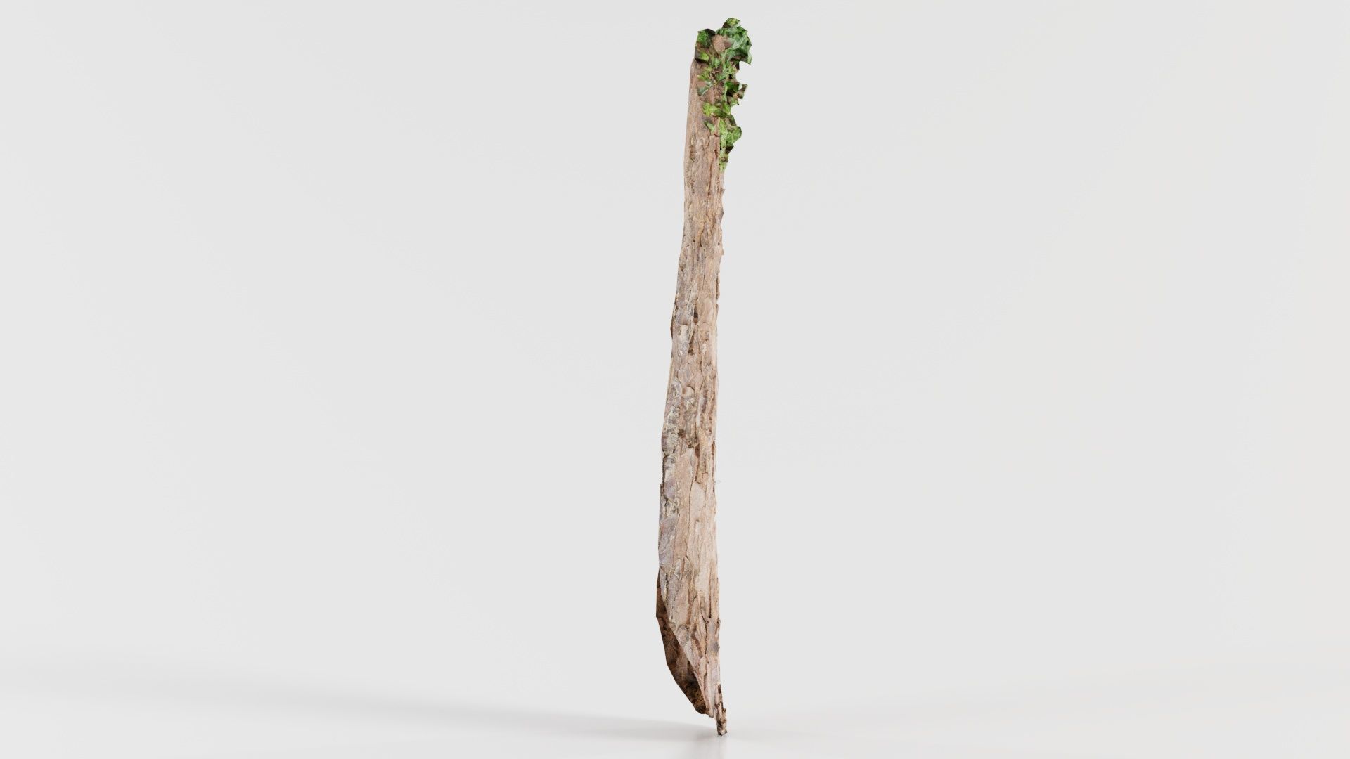 Island Bark Low-poly 3D model_7