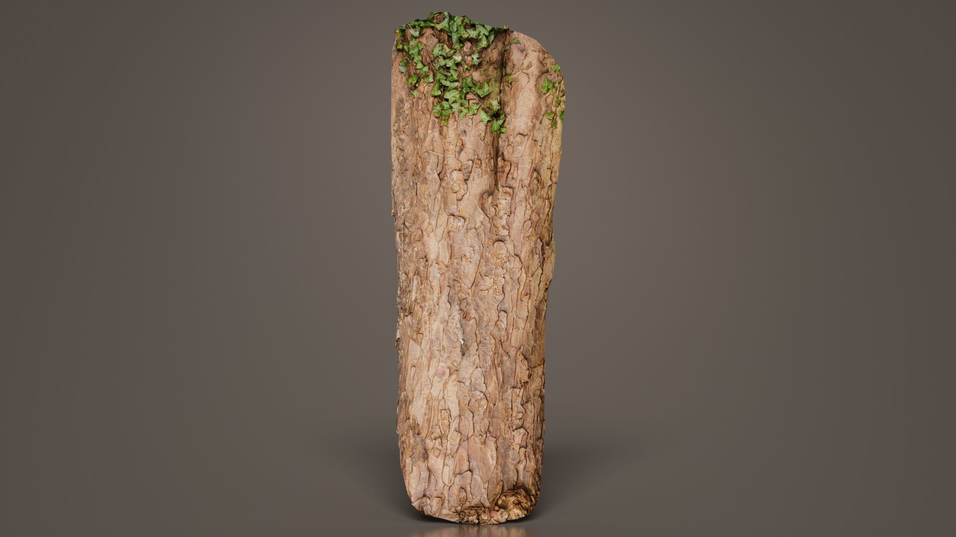 Island Bark Low-poly 3D model_1