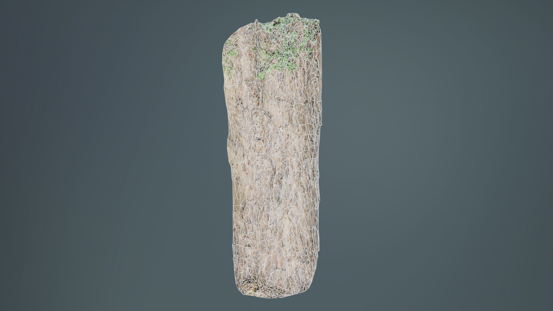 Island Bark Low-poly 3D model_10