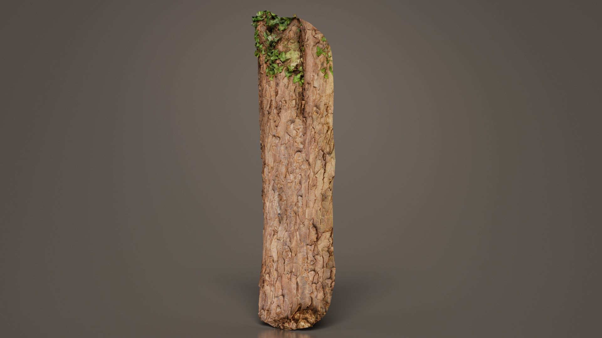 Island Bark Low-poly 3D model_4