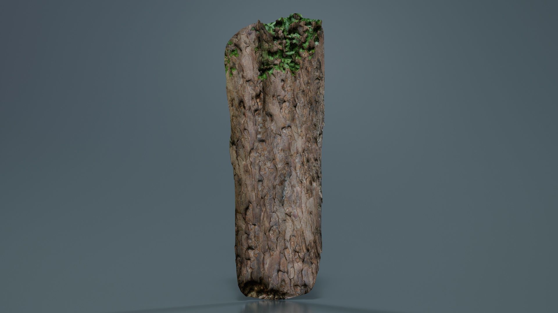 Island Bark Low-poly 3D model_6