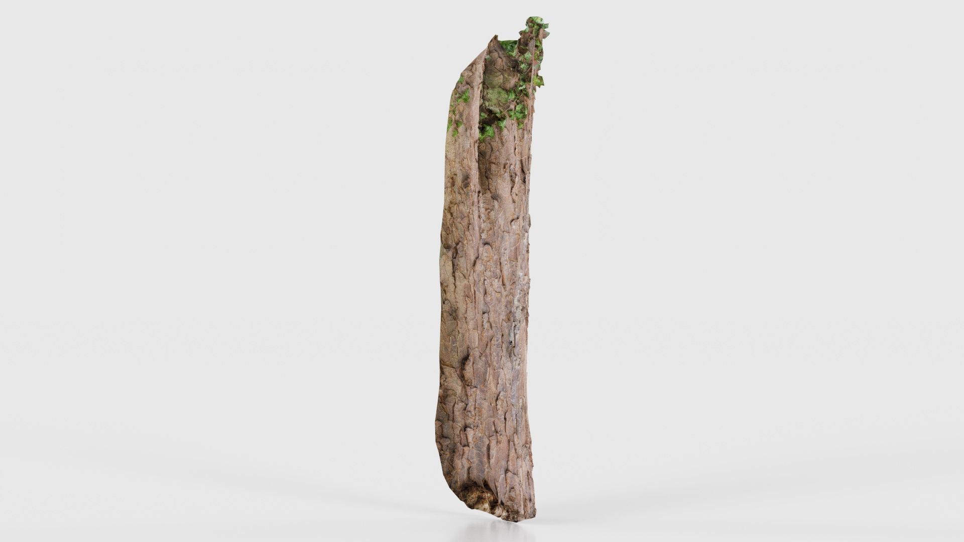 Island Bark Low-poly 3D model_19