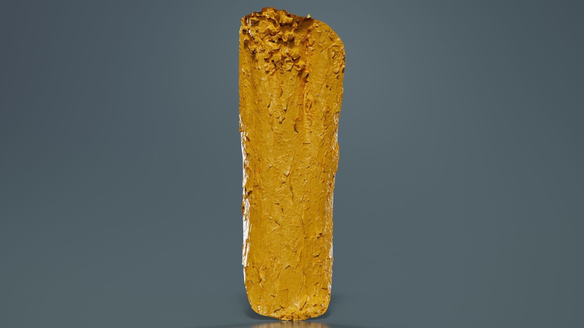 Island Bark Low-poly 3D model_12