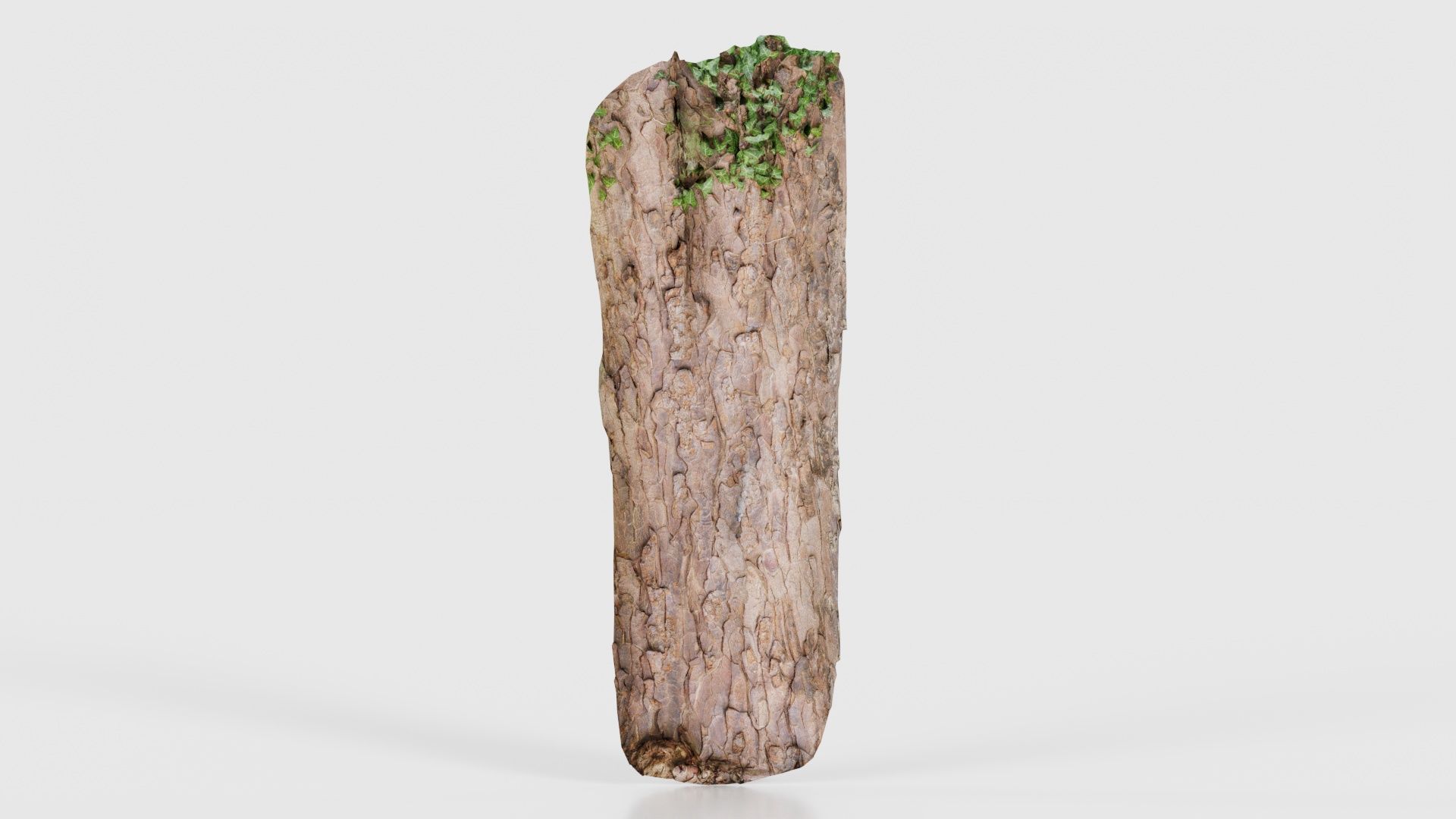 Island Bark Low-poly 3D model_21