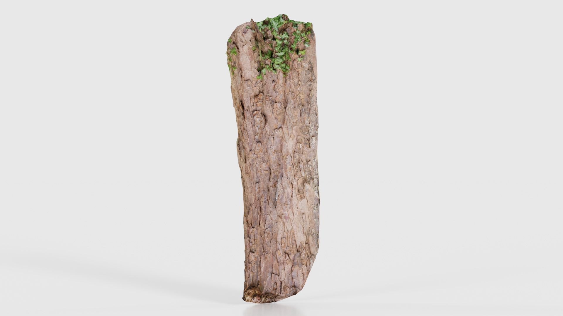 Island Bark Low-poly 3D model_22