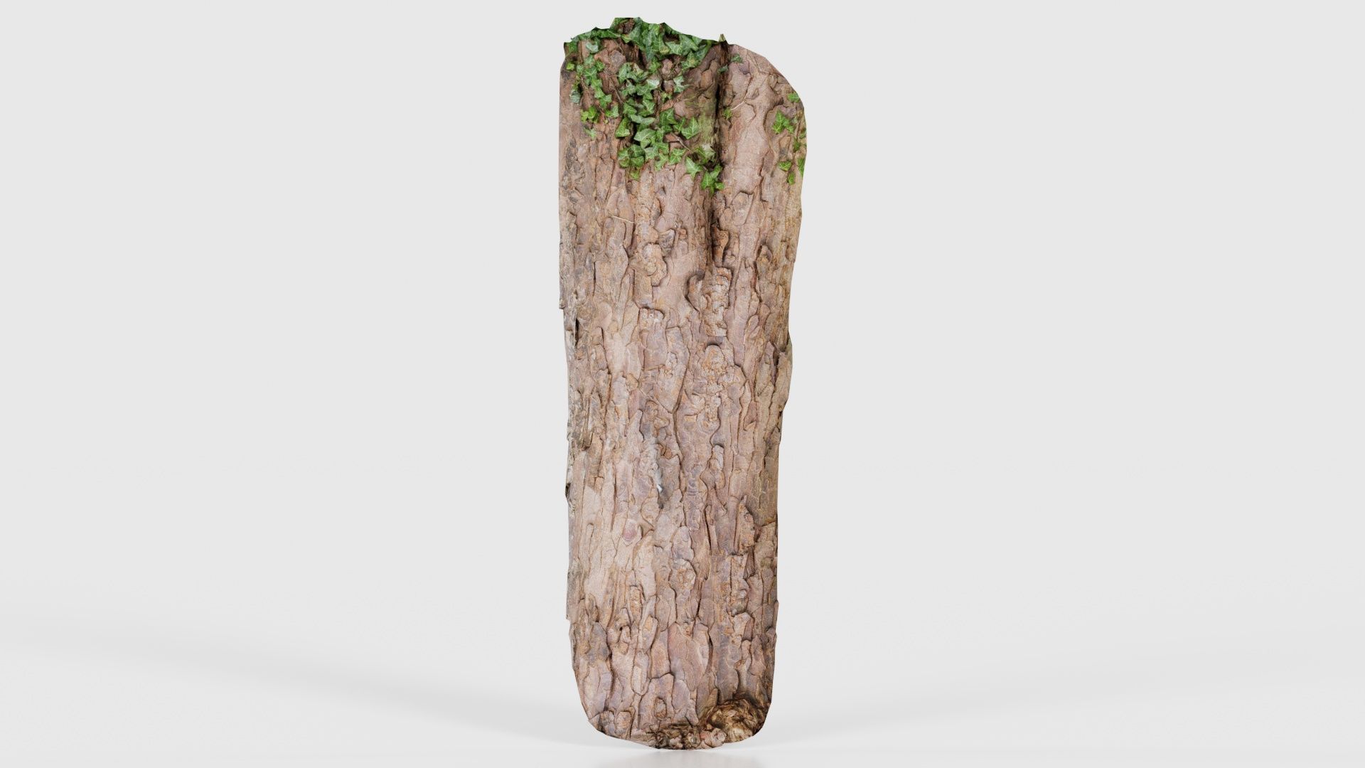 Island Bark Low-poly 3D model_15