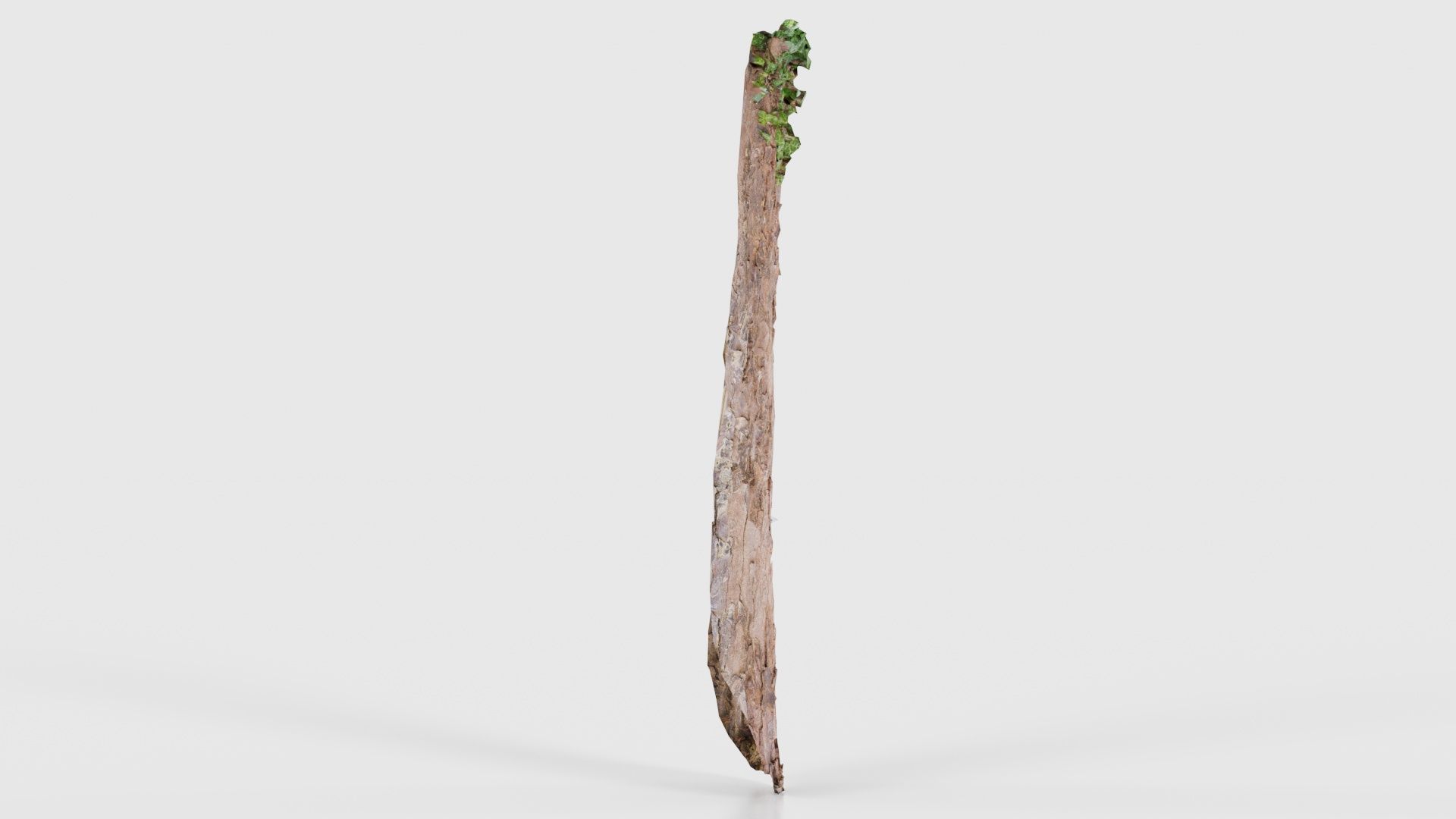 Island Bark Low-poly 3D model_18