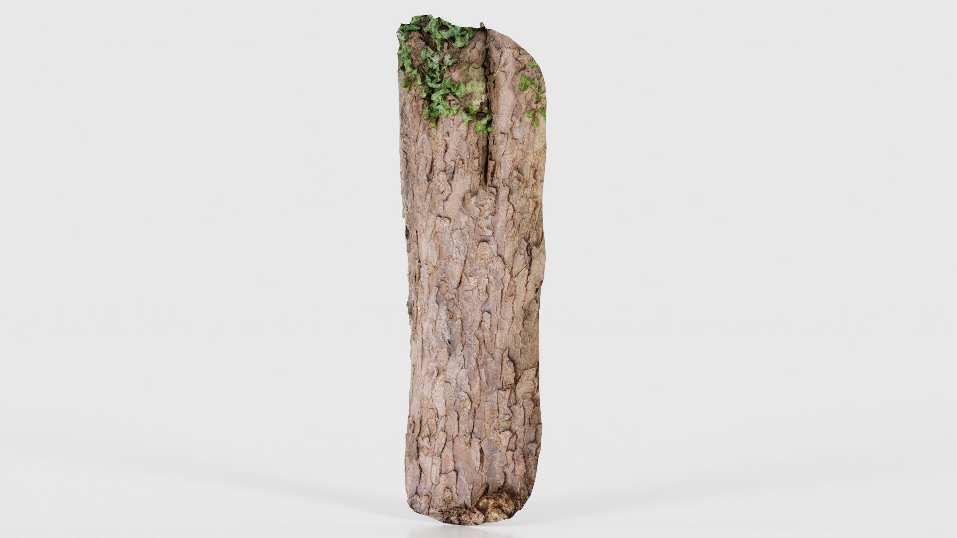 Island Bark Low-poly 3D model_26