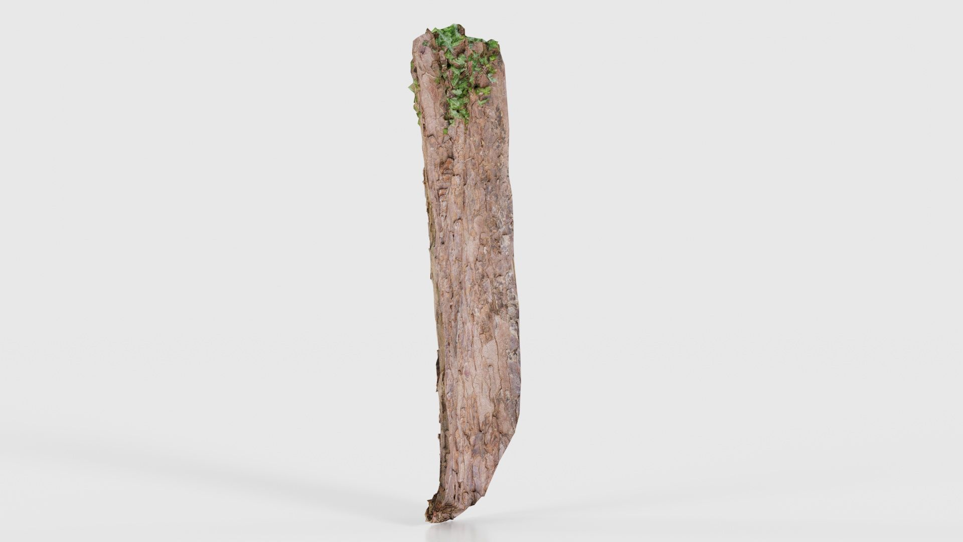 Island Bark Low-poly 3D model_23