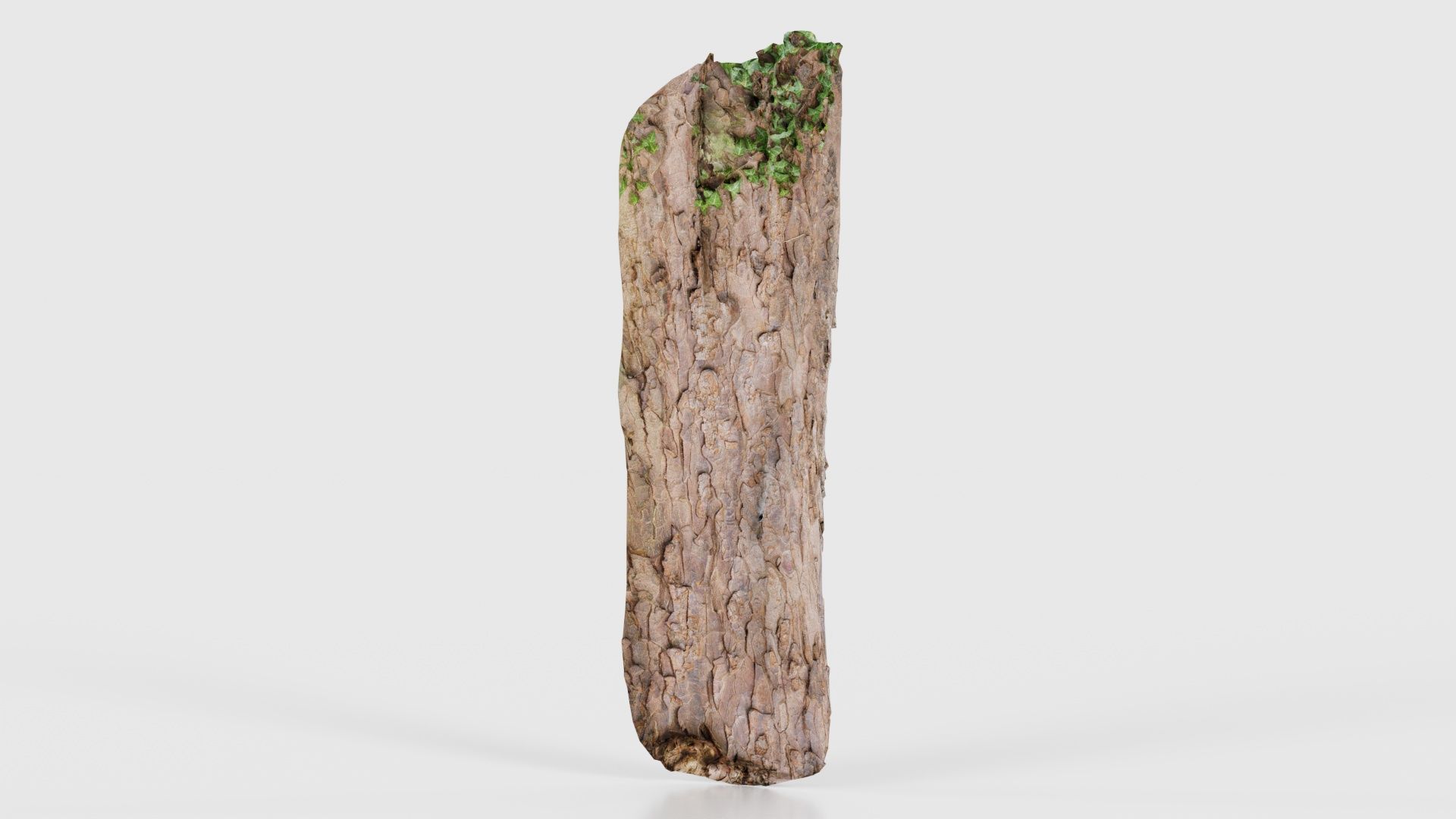 Island Bark Low-poly 3D model_20