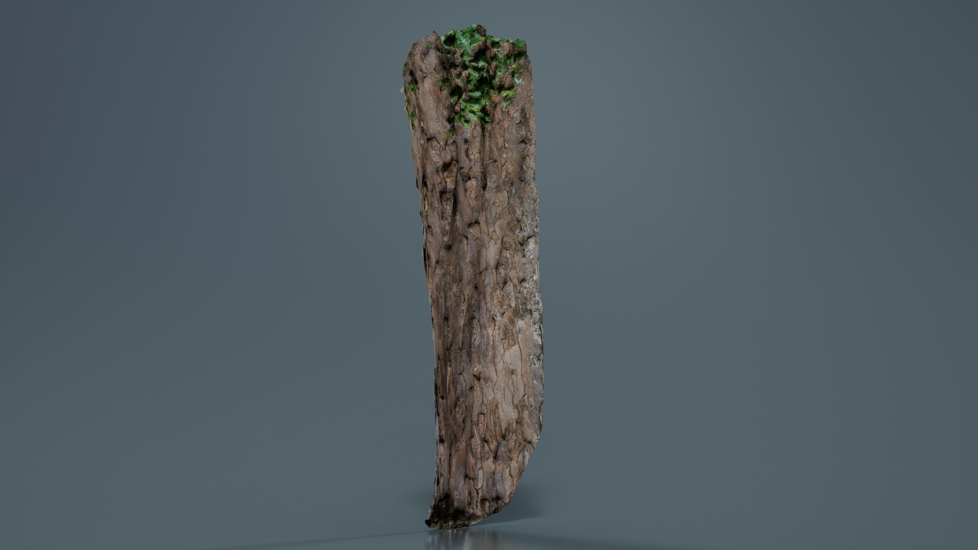 Island Bark Low-poly 3D model_2
