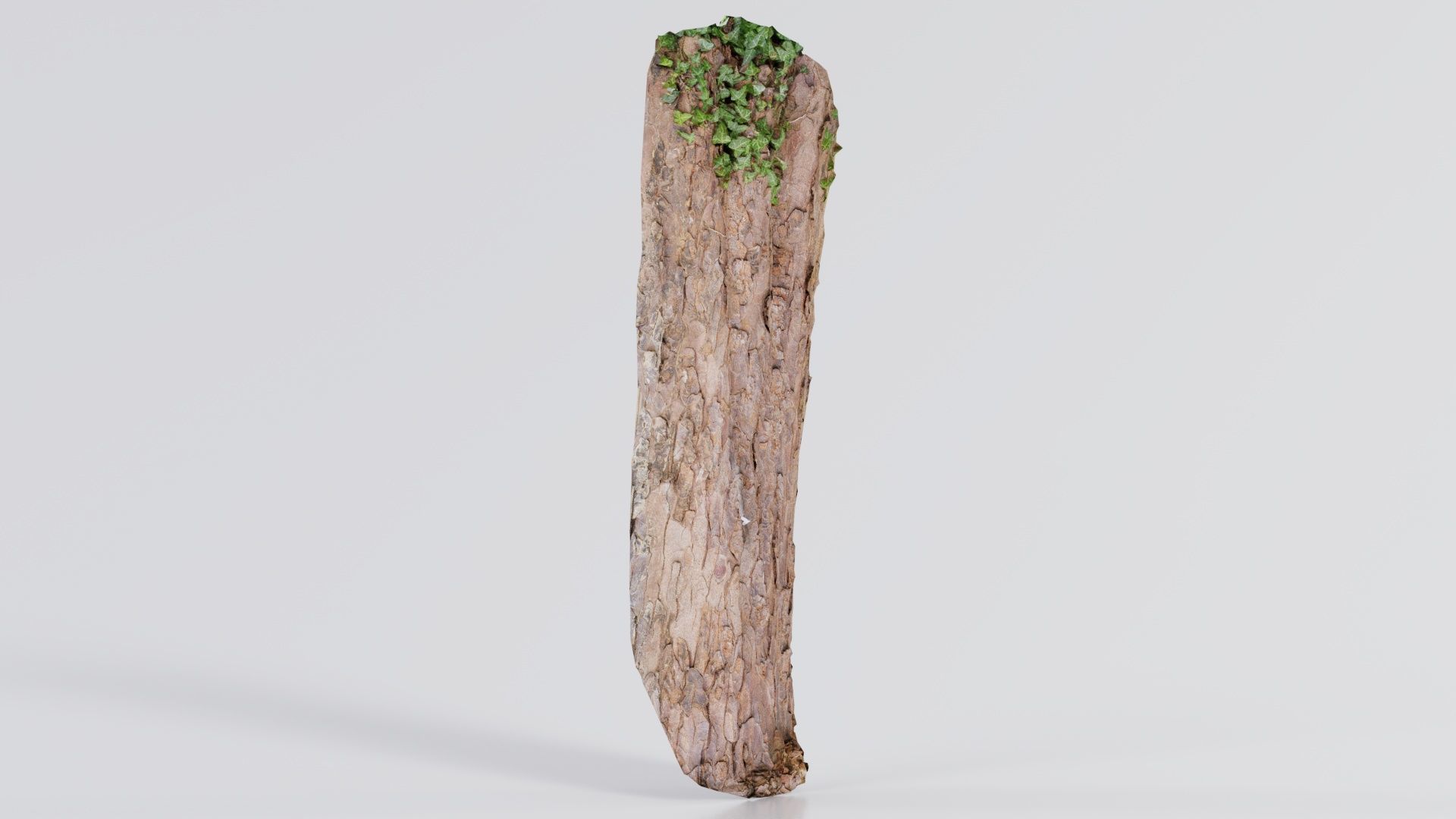 Island Bark Low-poly 3D model_5