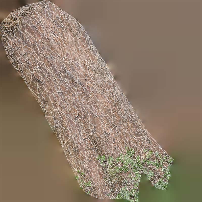 Island Bark Low-poly 3D model_14