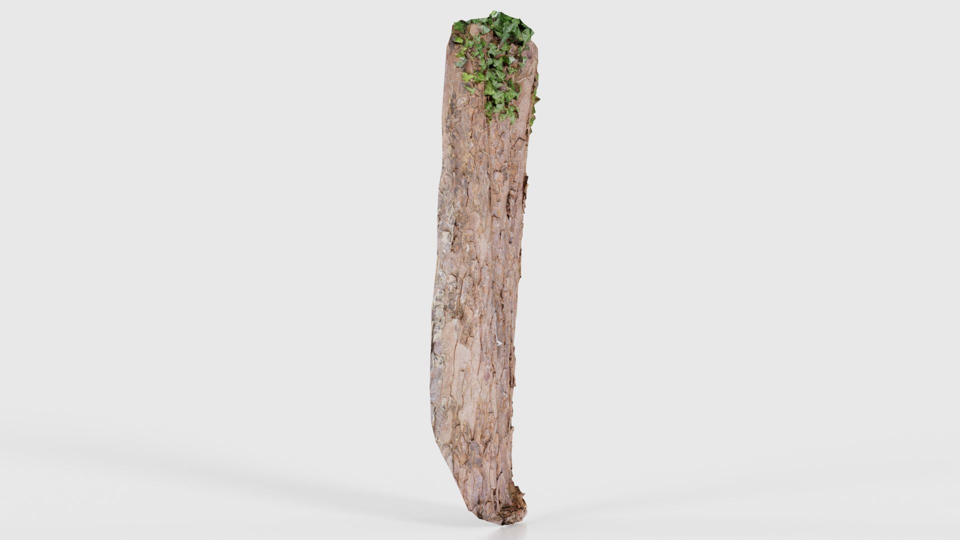 Island Bark Low-poly 3D model_17