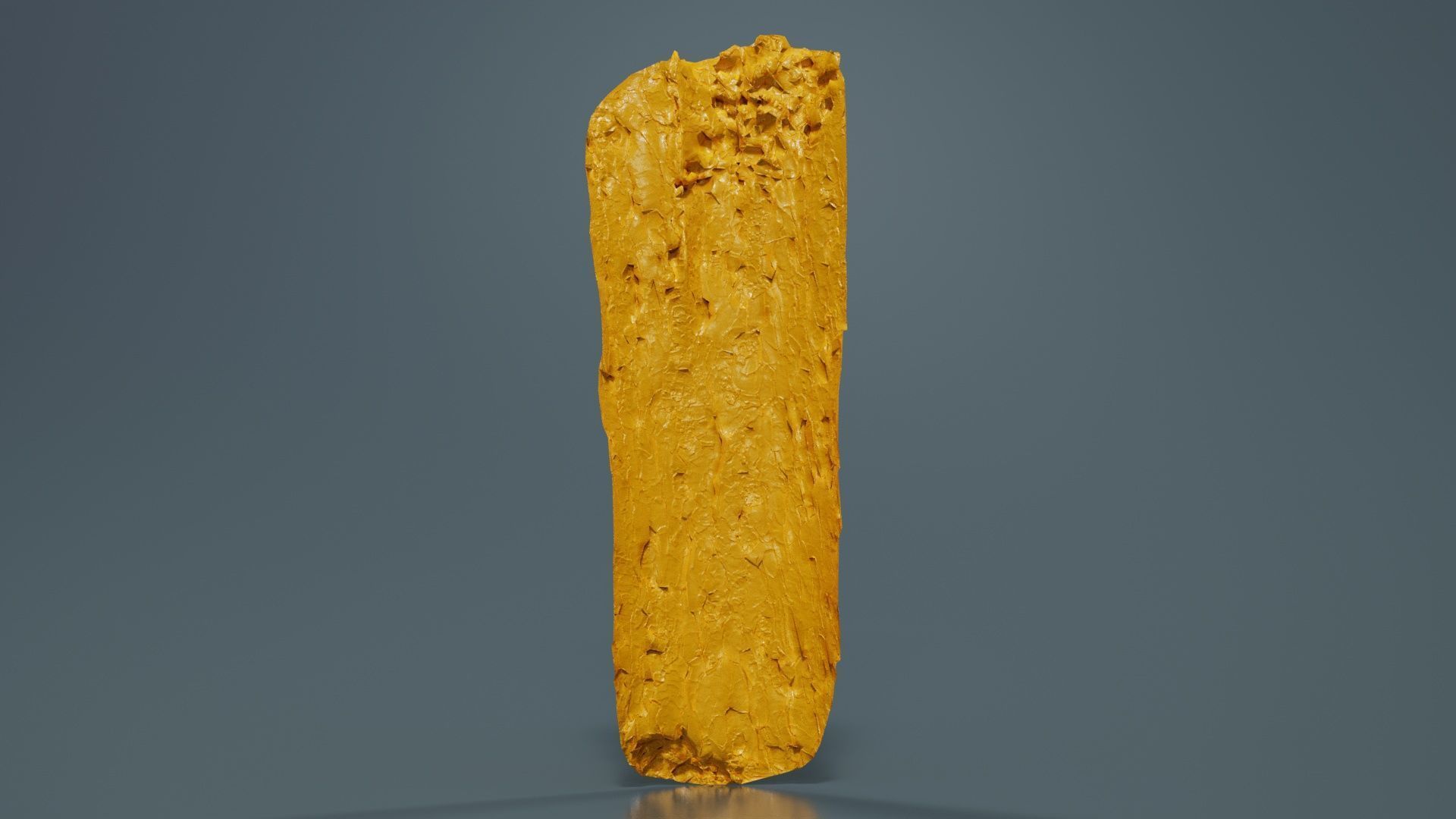 Island Bark Low-poly 3D model_13