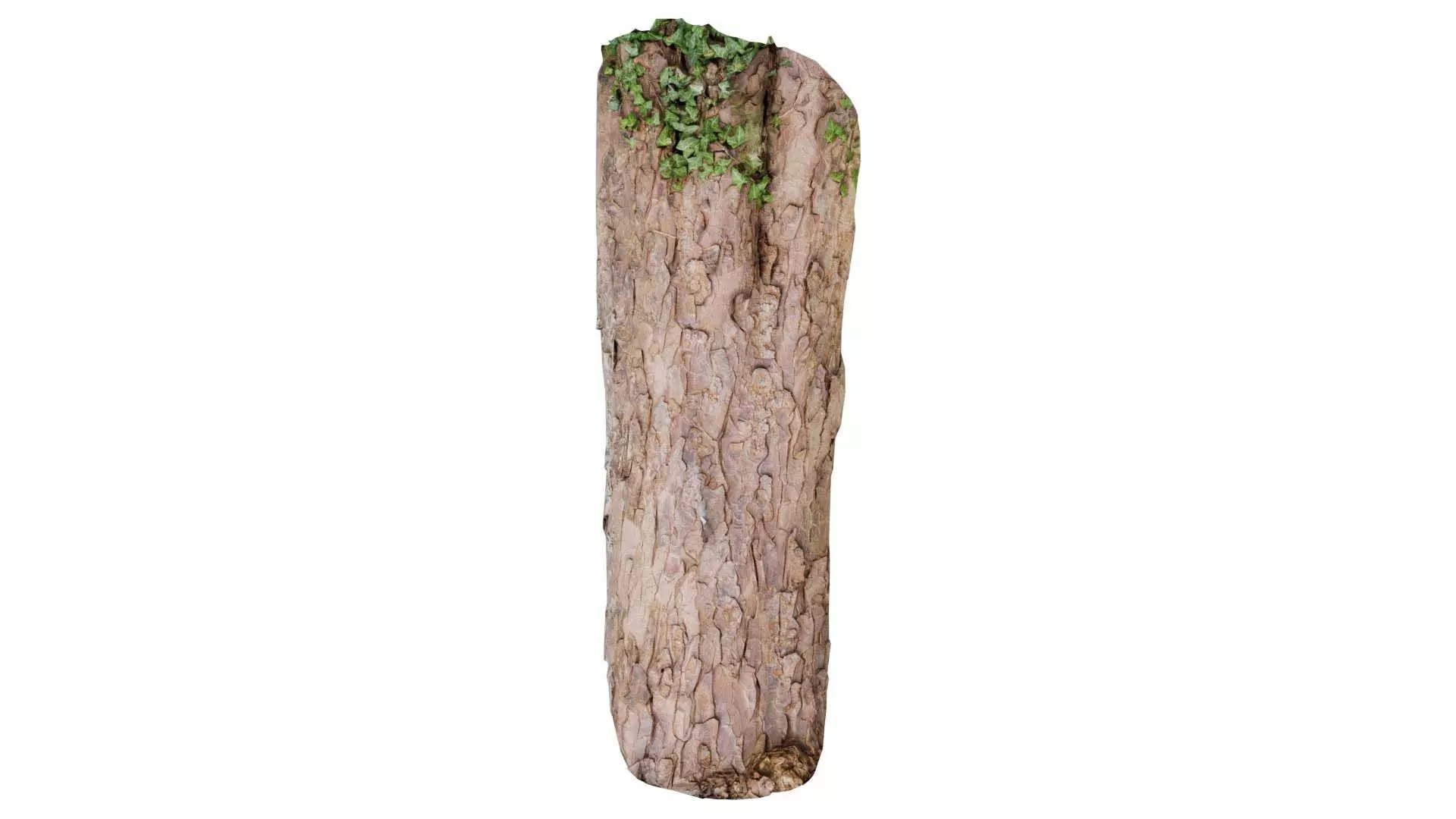 Island Bark Low-poly 3D model_0