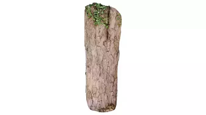 Island Bark Low-poly 3D model