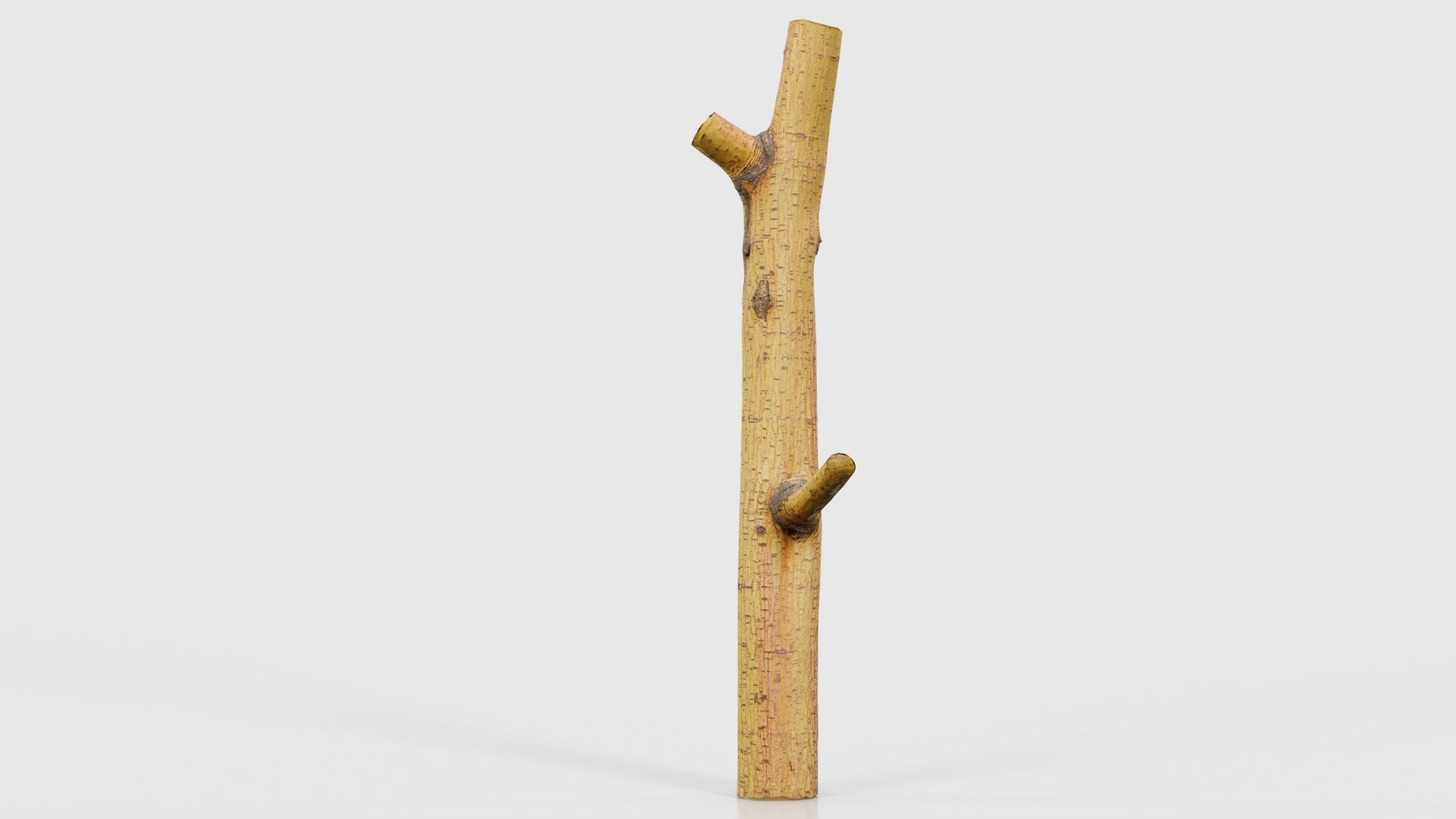 Little Yellow Branch Low-poly 3D model_18