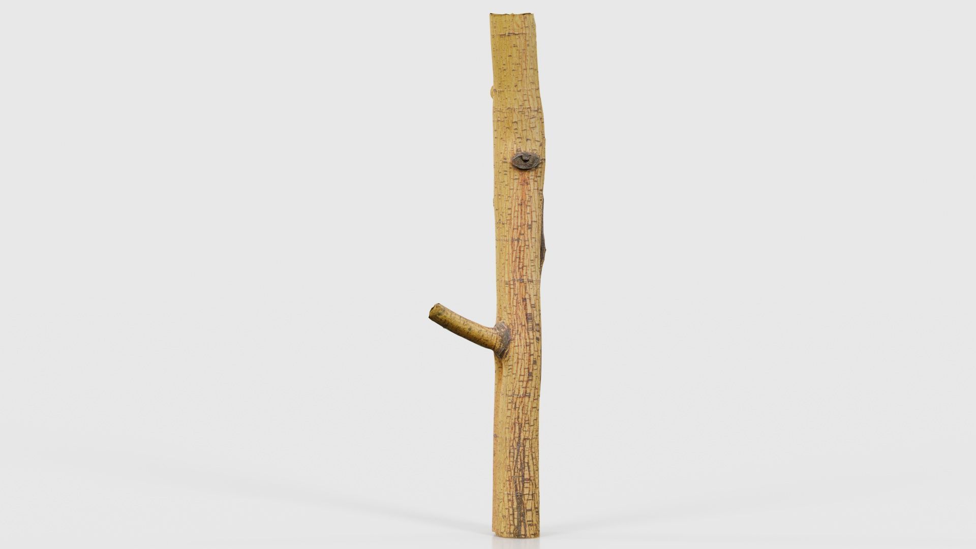 Little Yellow Branch Low-poly 3D model_15