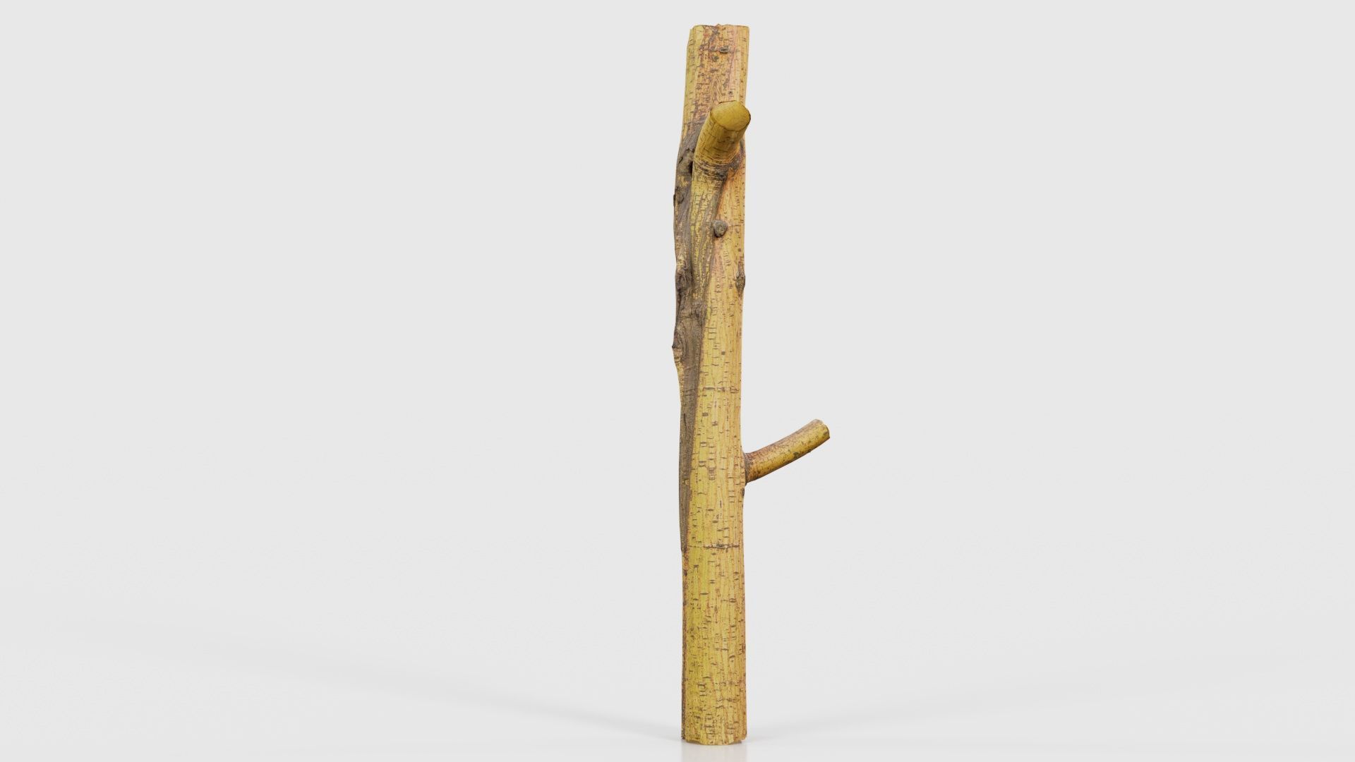 Little Yellow Branch Low-poly 3D model_21