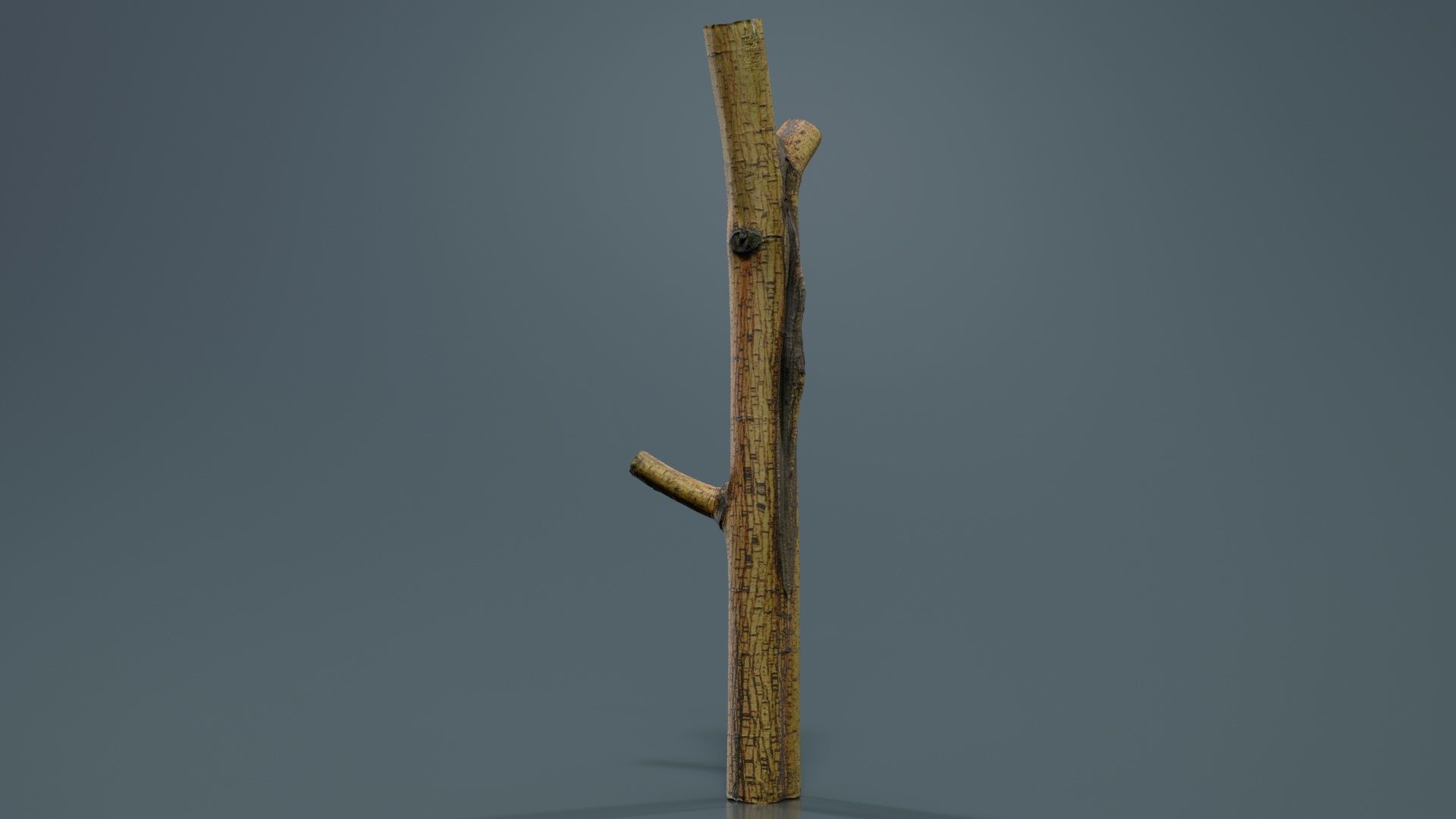 Little Yellow Branch Low-poly 3D model_4