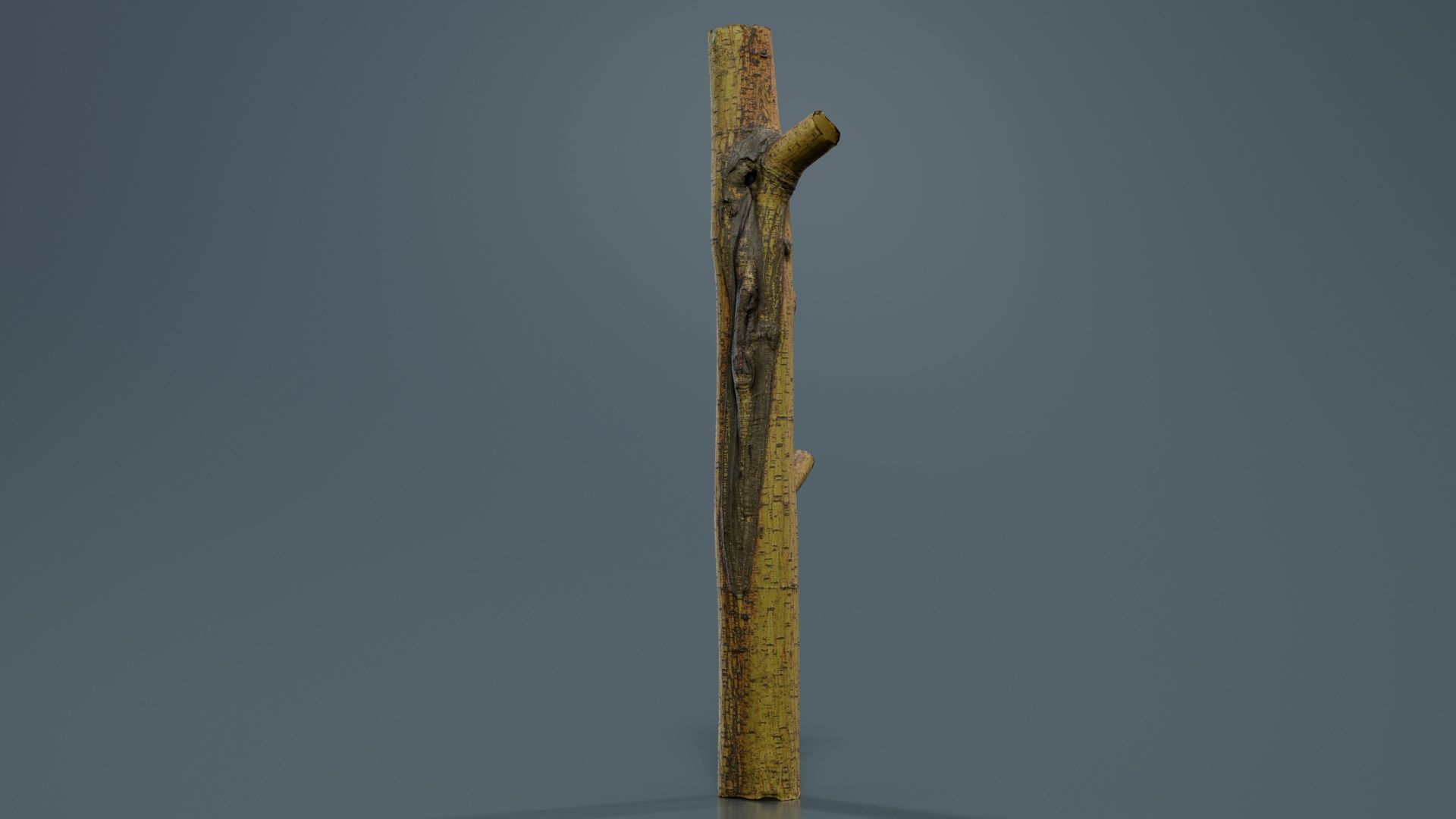 Little Yellow Branch Low-poly 3D model_6