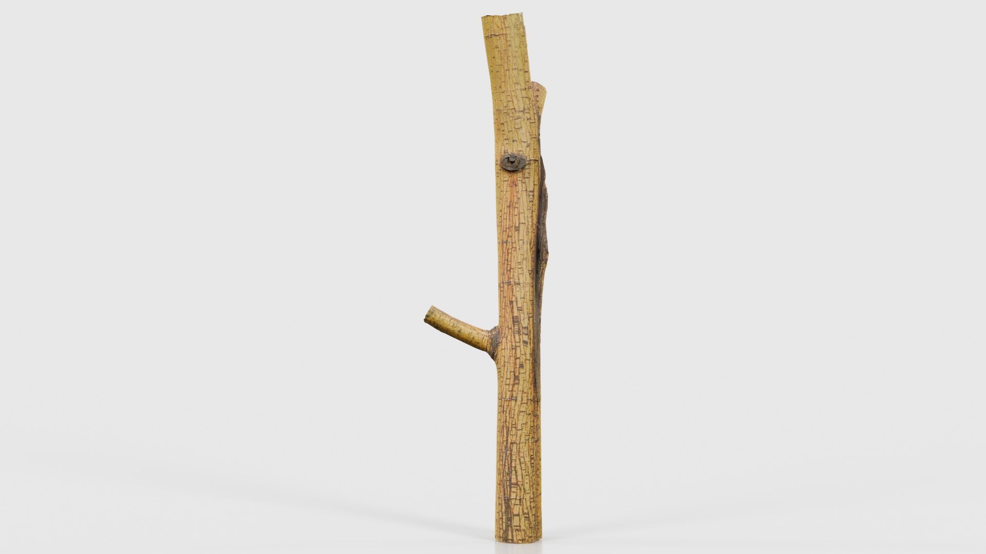 Little Yellow Branch Low-poly 3D model_26