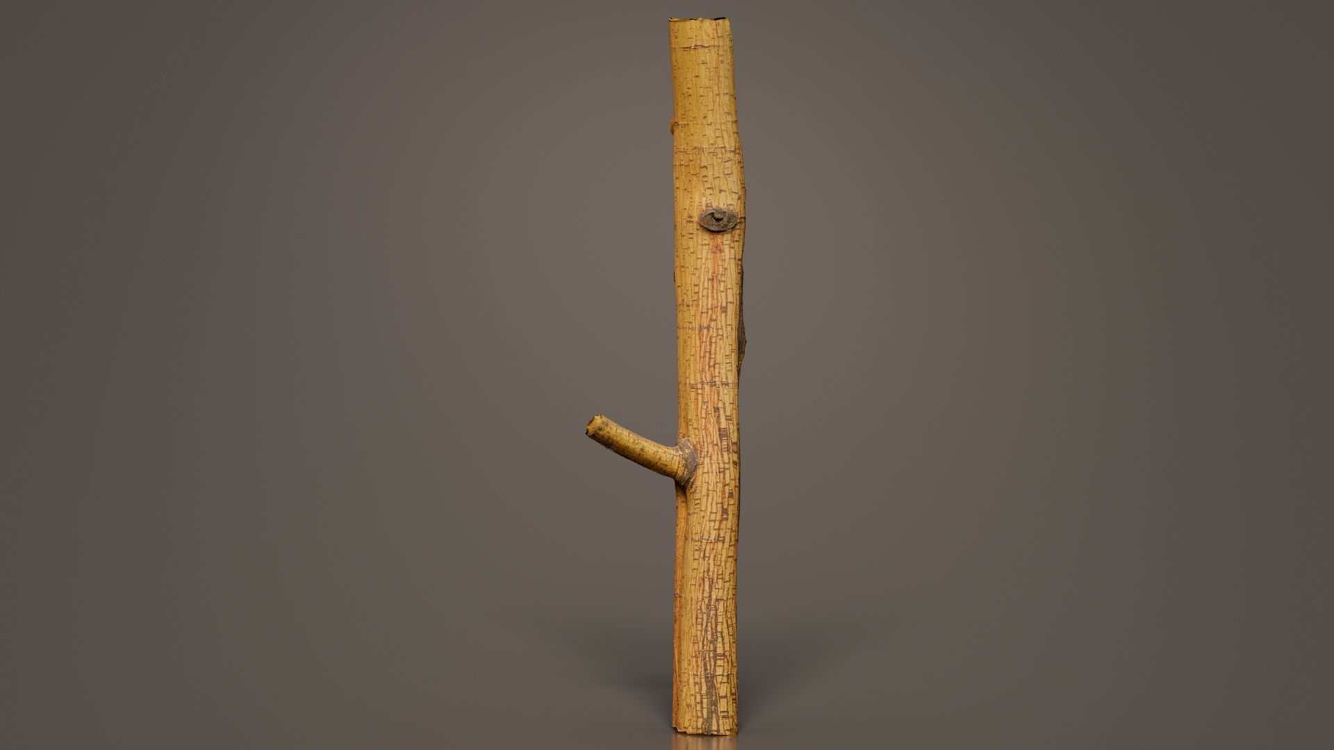 Little Yellow Branch Low-poly 3D model_3